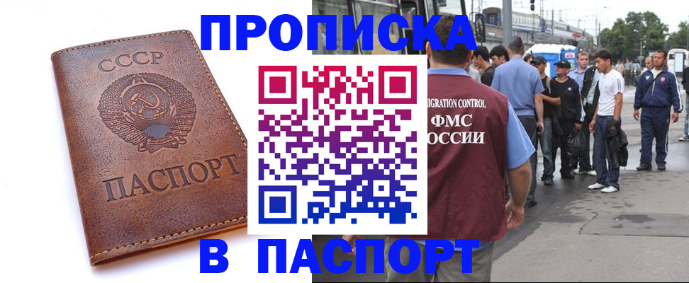 временная регистрация поиск в Мытищах